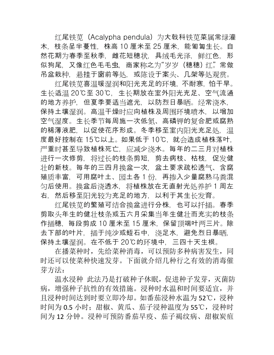 【最新】红尾铁苋的栽培要点_第1页
