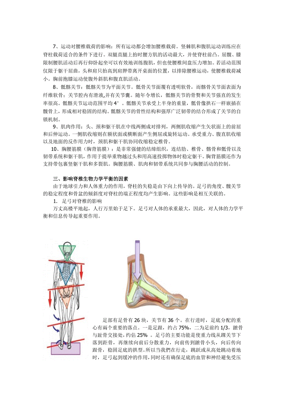 【最新】脊椎的生物力学平衡_第3页