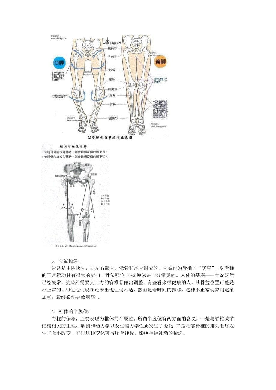 【最新】脊椎的生物力学平衡_第5页