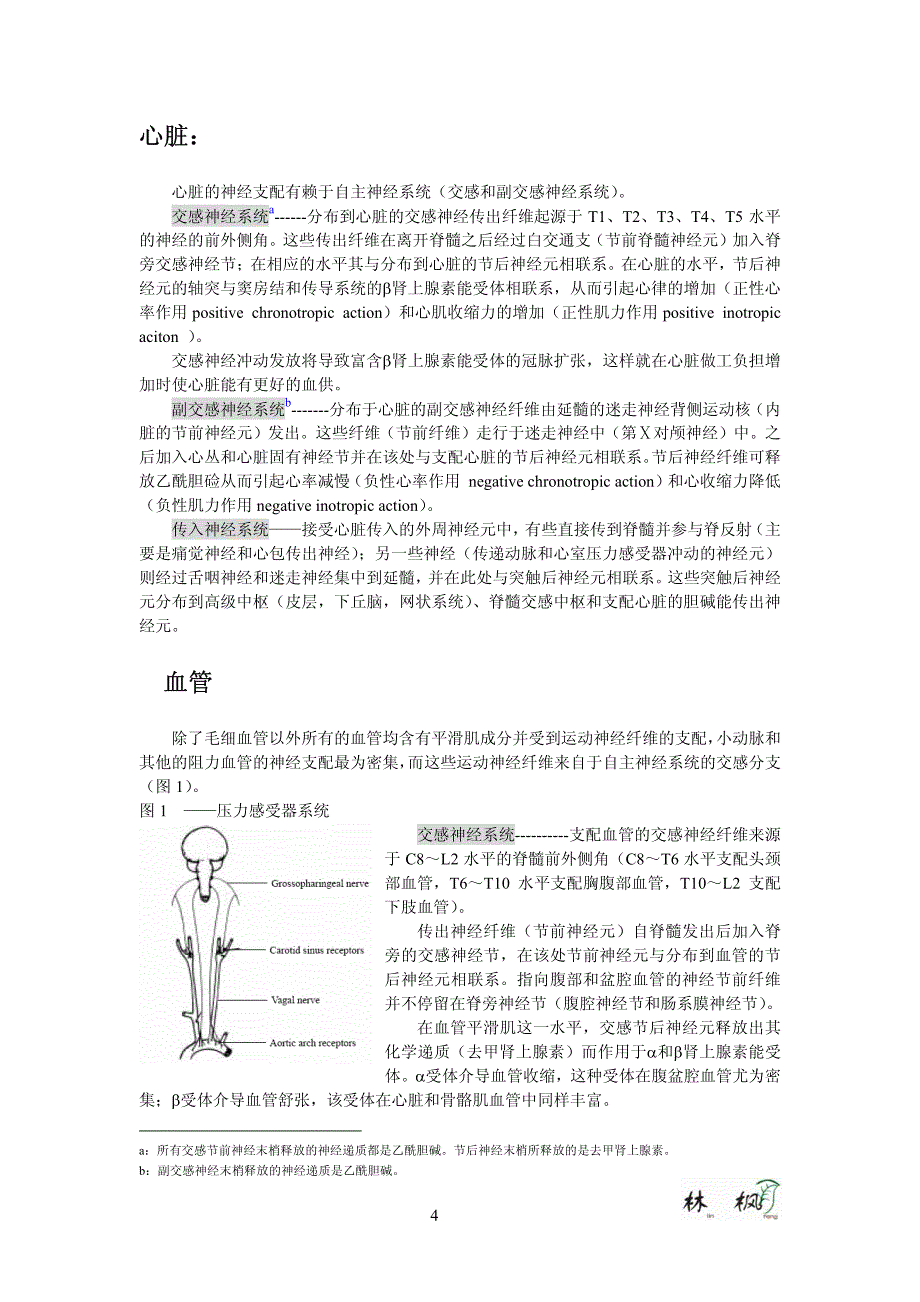 【最新】脊髓损伤的心血管系统林枫CP_第4页