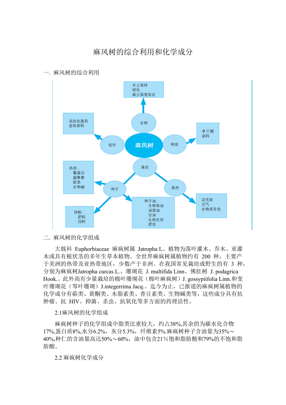 【最新】麻风树的综合利用和化学成分_第1页