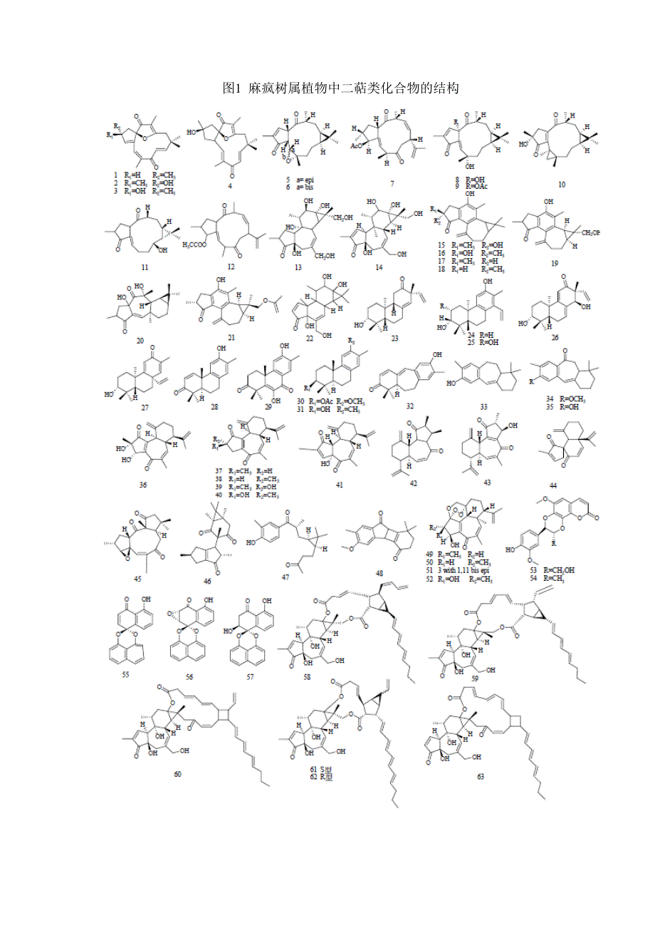 【最新】麻风树的综合利用和化学成分_第4页