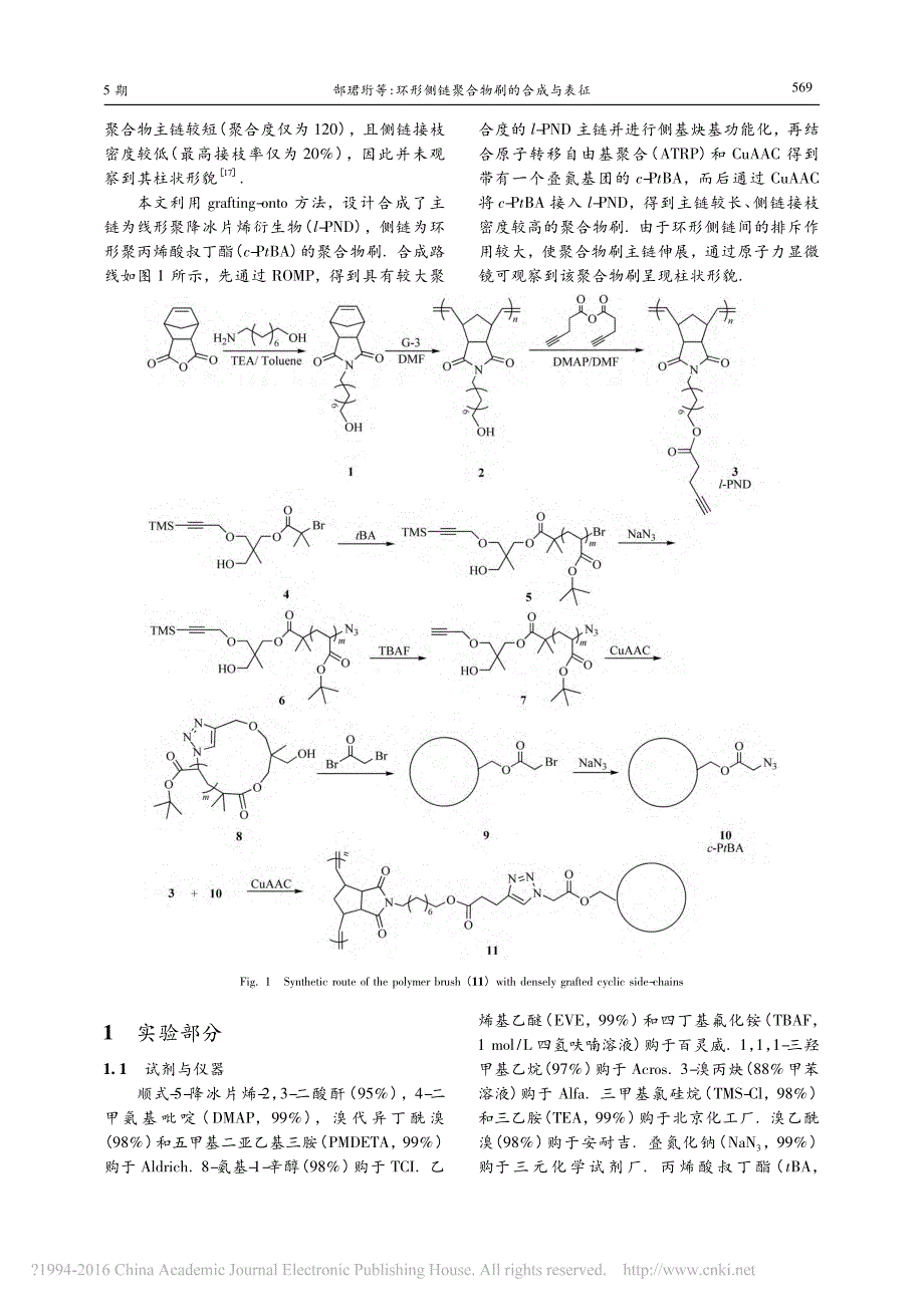 环形侧链聚合物刷的合成与表征_第2页