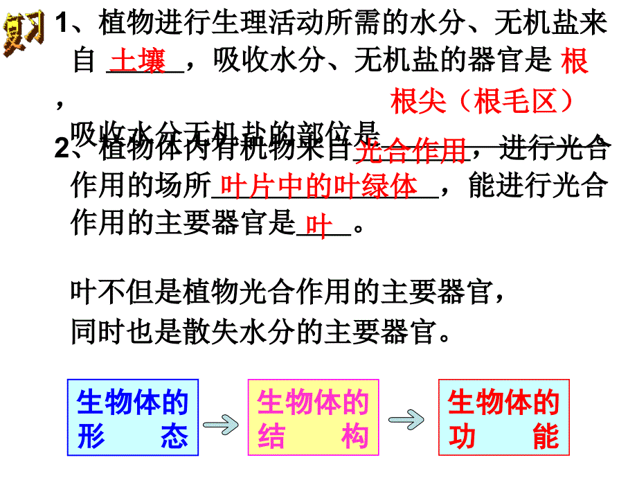 【2017年整理】(2017)新浙教版八年级科学(下)第4章第5节 植物的叶与蒸腾作用(第一课时)_第2页