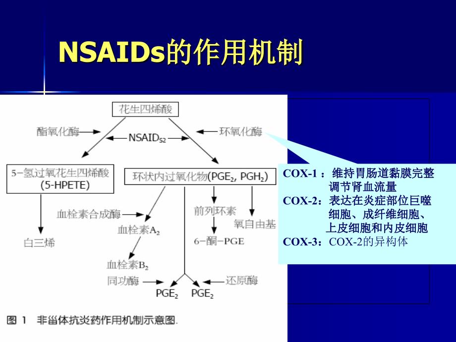 非甾体抗炎药的胃肠道损伤_第3页