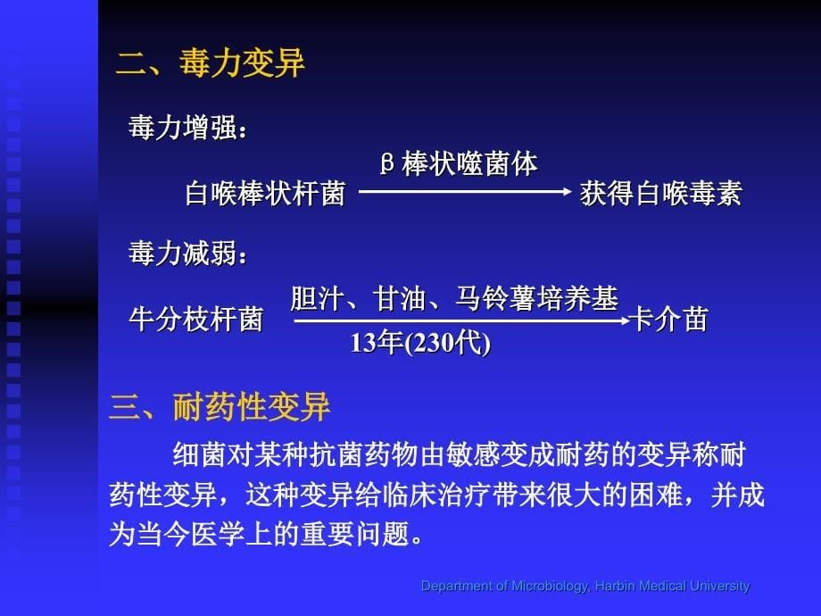 第四章  细菌的遗传与变异  第五章 细菌的感染与._第5页