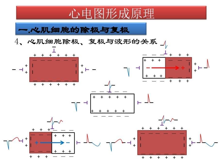 康复护理_第5页