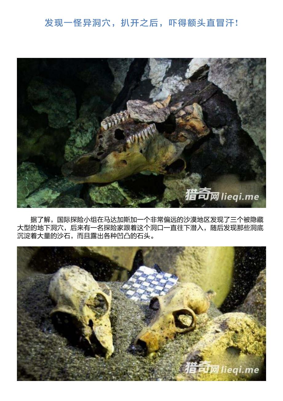 发现一怪异洞穴,扒开之后,吓得额头直冒汗!_第1页