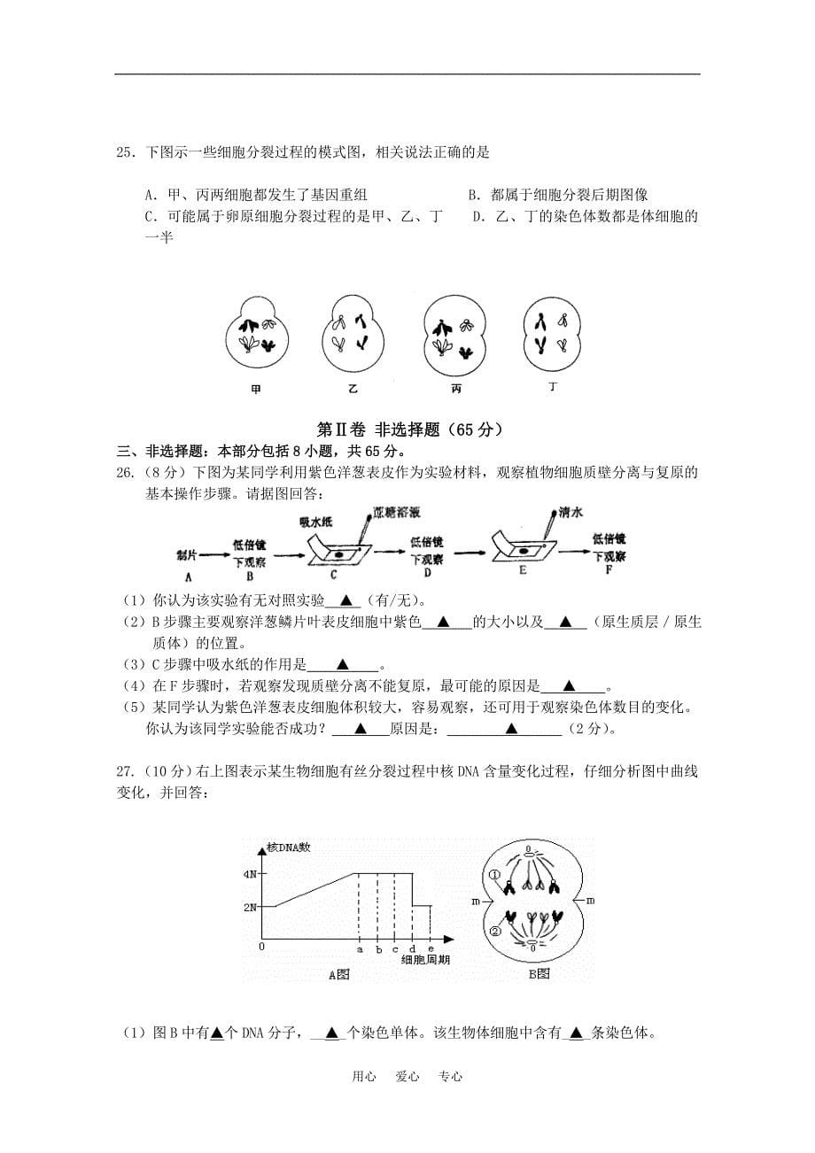 江苏省淮州中学2011届高三生物上学期期中考试苏教版【会员独享】_第5页