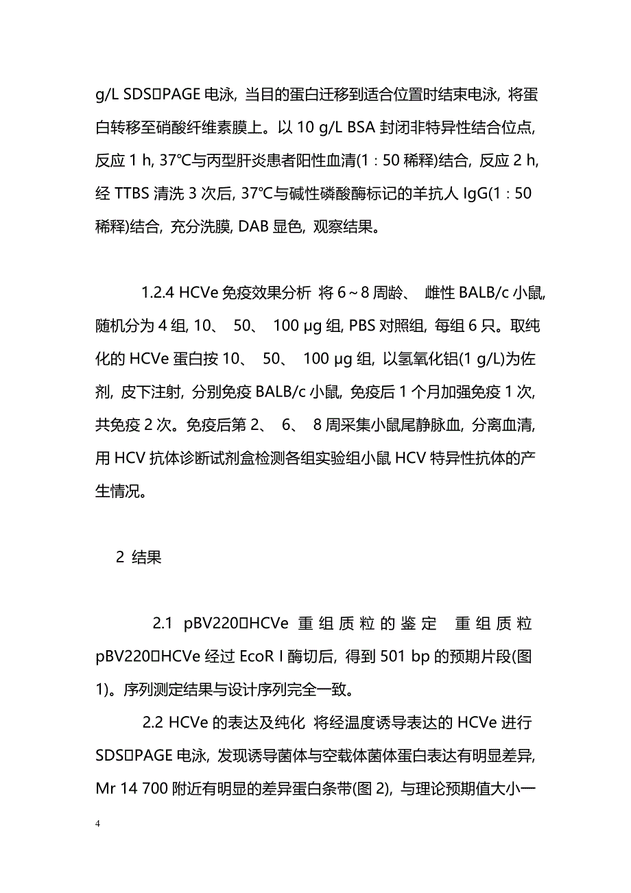 丙型肝炎病毒多表位抗原的原核表达及免疫原性分析_第4页