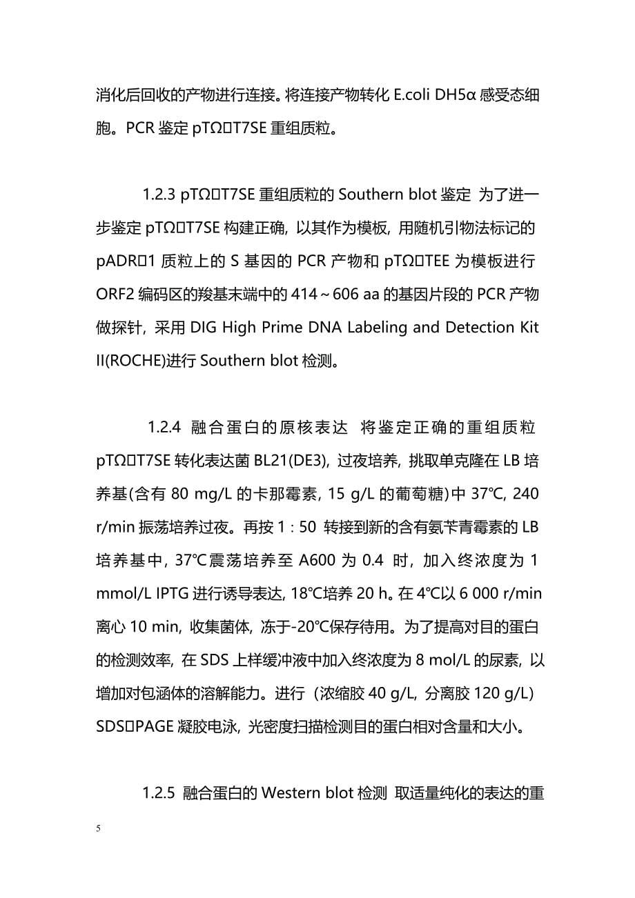 HBV-HEV融合二价抗原原核表达载体的构建及蛋白的初步表达_第5页