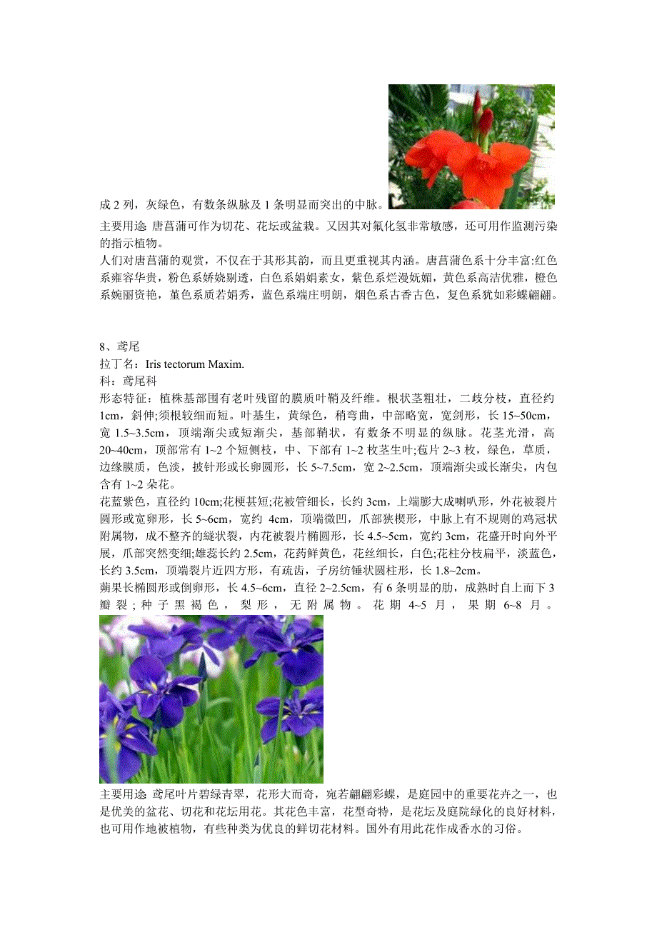 【2017年整理】常见露地花卉50种_第4页