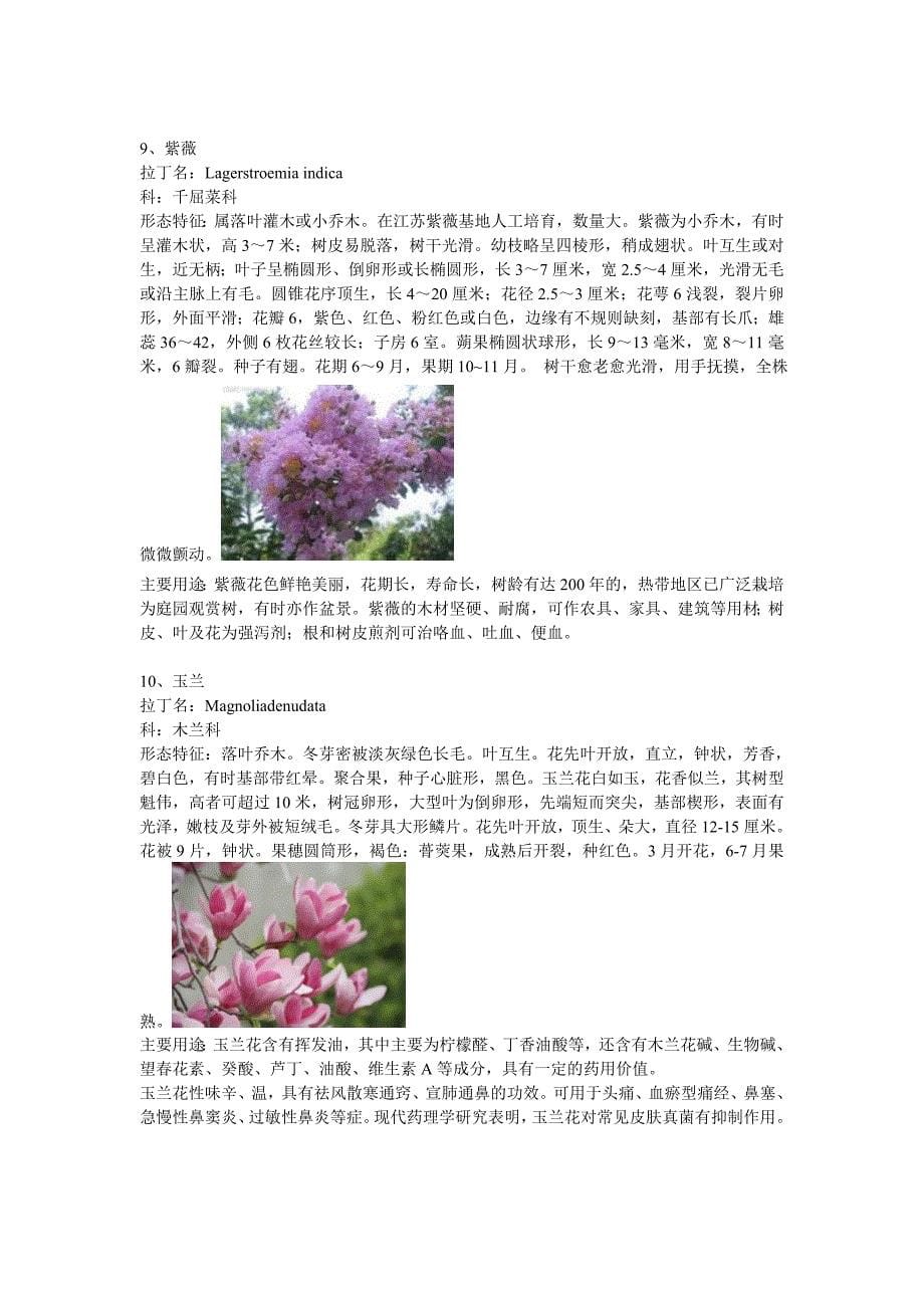 【2017年整理】常见露地花卉50种_第5页
