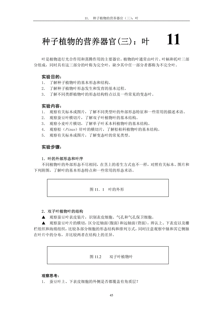 11 种子植物的营养器官(三) 叶_第1页