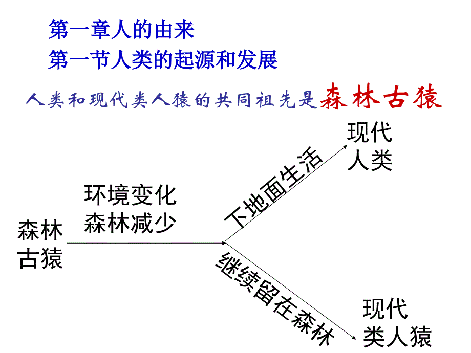 七下第一章第二章复习课件_第2页