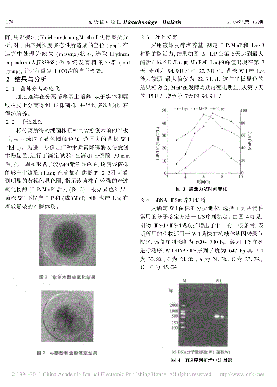 一株产木质素降解酶真菌的分离与鉴定_第3页