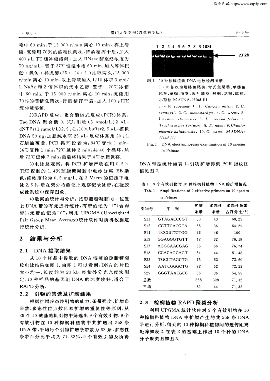 10种棕榈科植物的RAPD分析_第2页