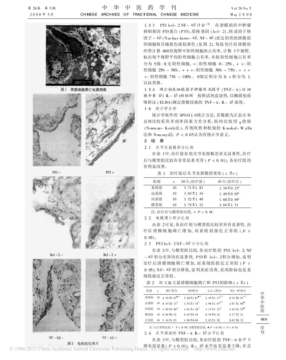 _类风关巴布剂_穴位贴敷对CIA大鼠滑膜细胞凋亡及其分泌的TNF_IL_1_的影[1]_第3页