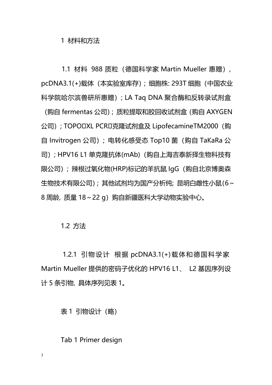 密码子优化HPV16衣壳基因真核共表达载体的构建及细胞转染_第3页