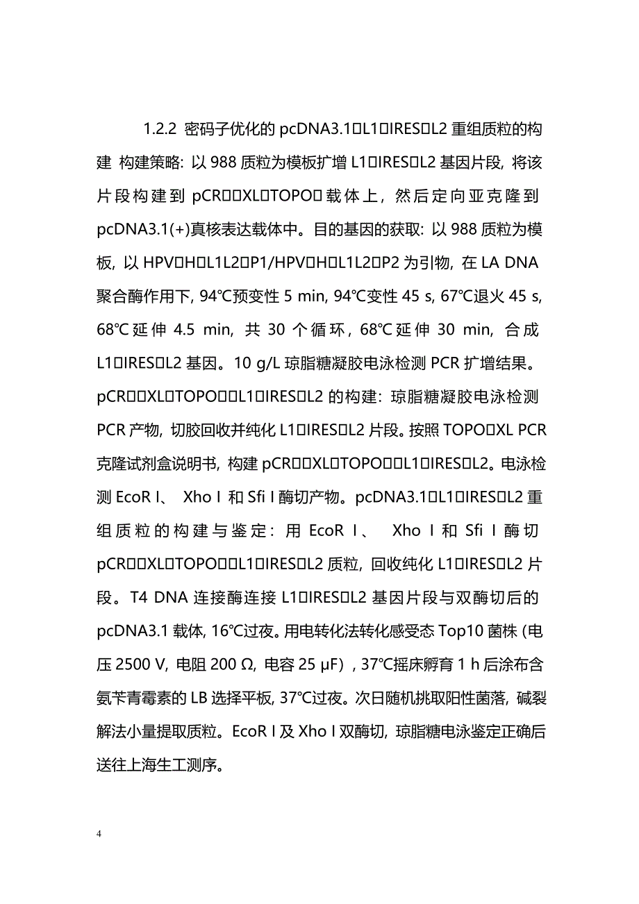 密码子优化HPV16衣壳基因真核共表达载体的构建及细胞转染_第4页