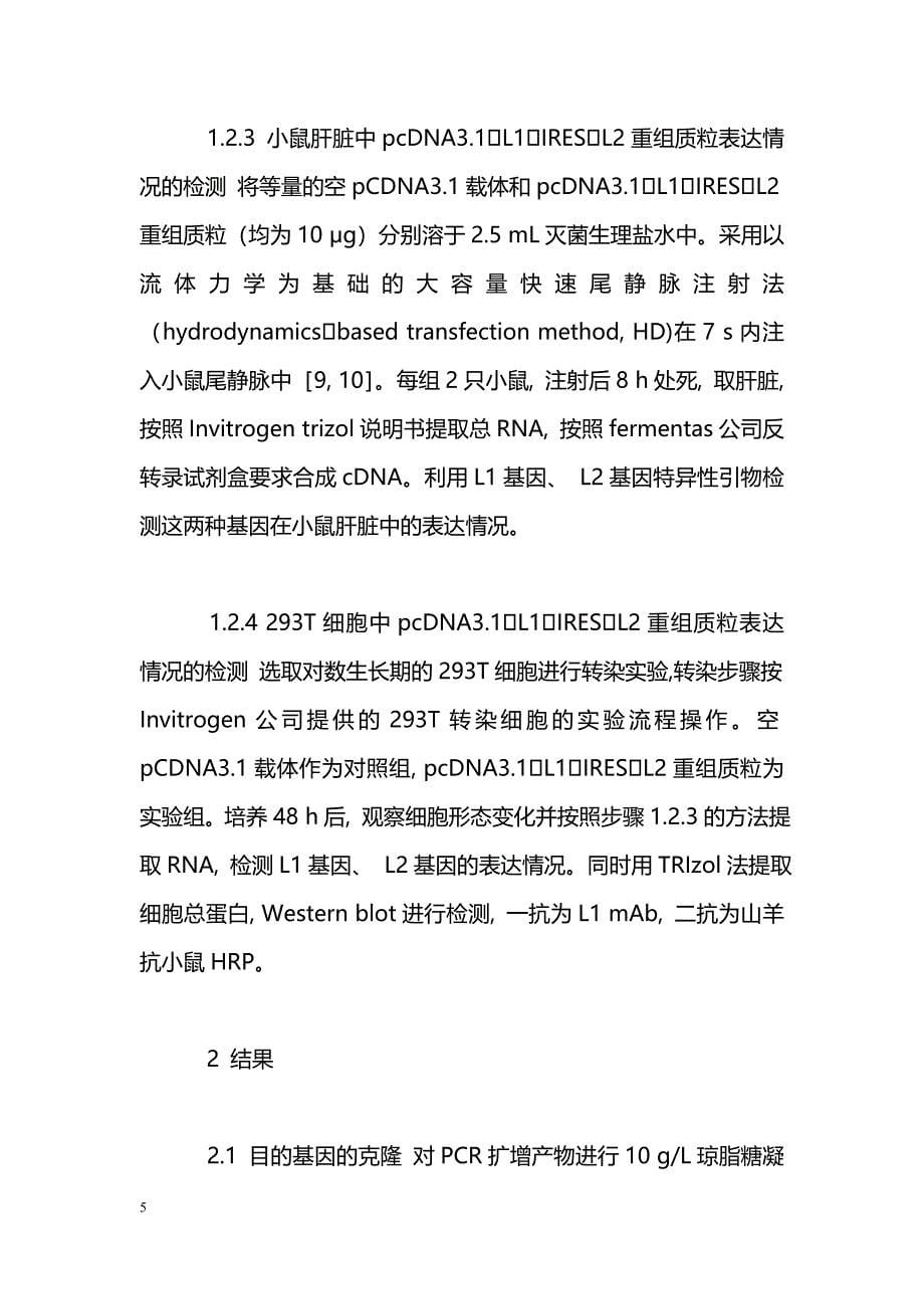 密码子优化HPV16衣壳基因真核共表达载体的构建及细胞转染_第5页