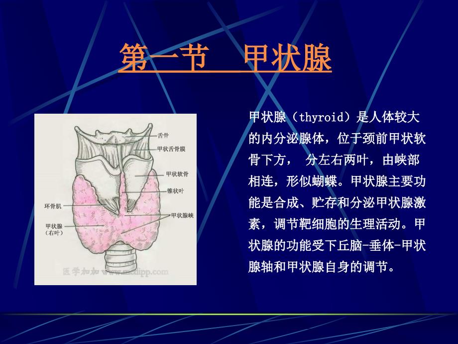 内分泌系统核医学_第3页