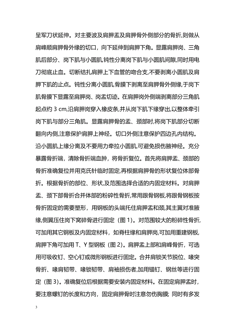 复杂性粉碎性肩胛骨骨折的手术治疗_第3页