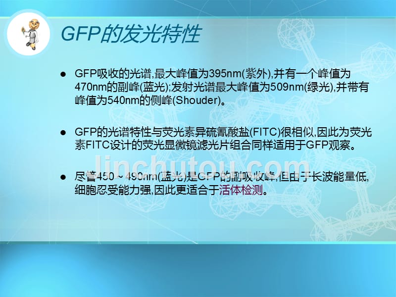 GFP-绿色荧光蛋白_第3页