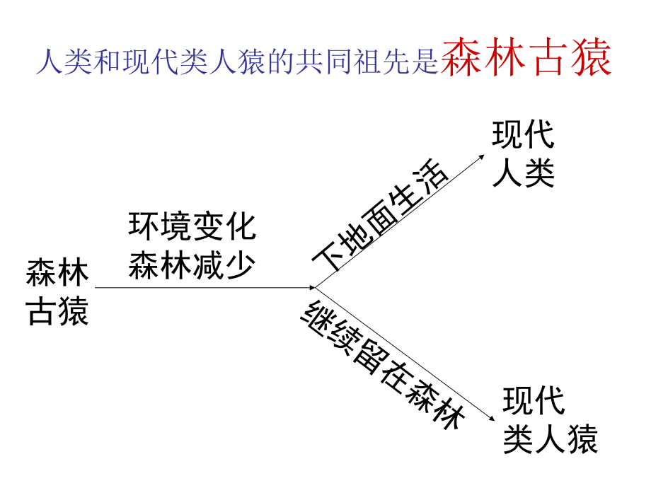 七下生物期末复习101_第3页