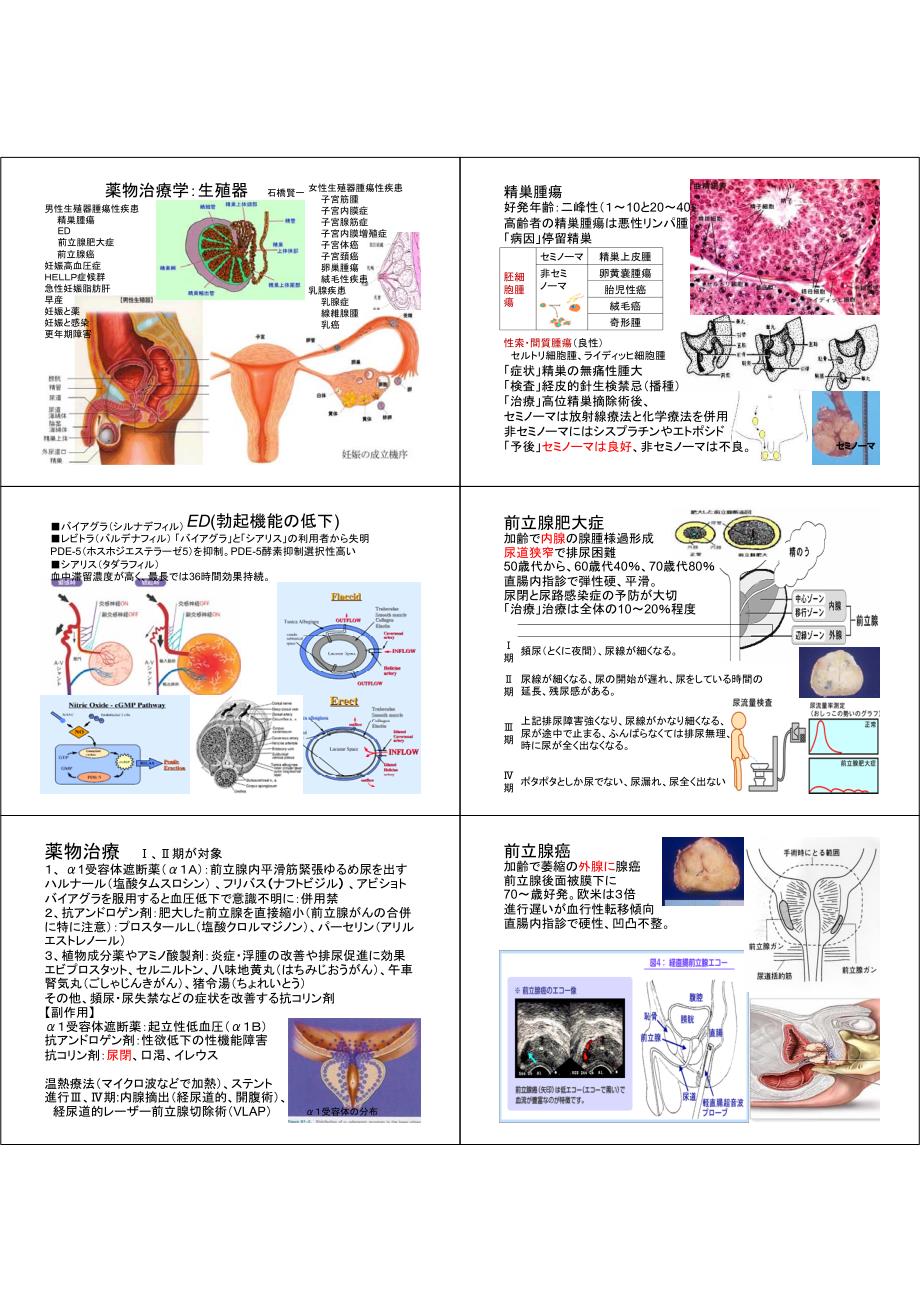 薬物治疗学_生殖器石桥贤一_第1页