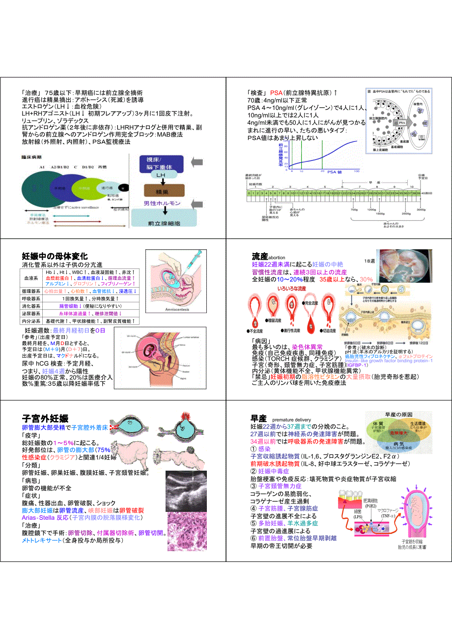 薬物治疗学_生殖器石桥贤一_第2页