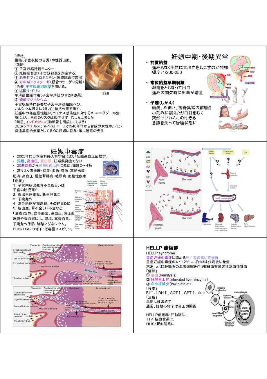 薬物治疗学_生殖器石桥贤一_第3页