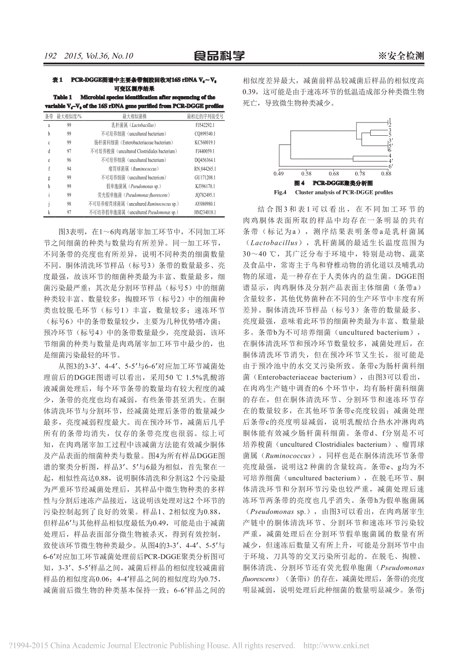 【2017年整理】肉鸡屠宰加工中减菌处理前后细菌菌相分析_第4页