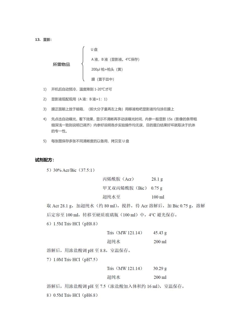 WB实验步骤详细总结_第5页