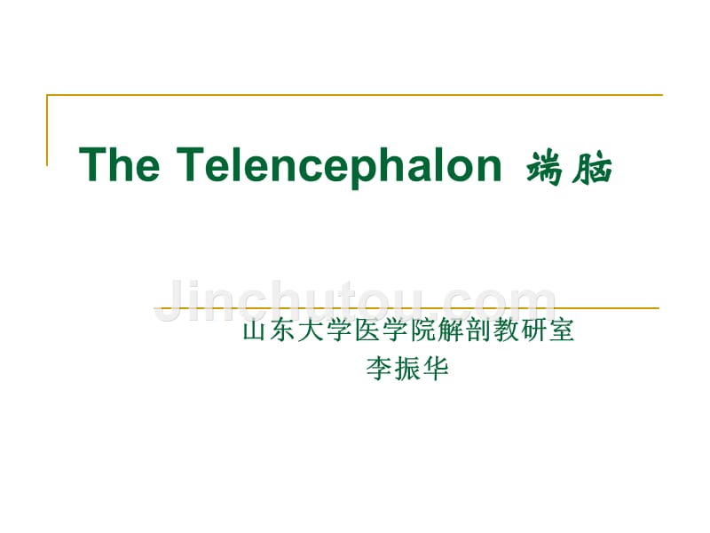 The Telencephalon_第1页