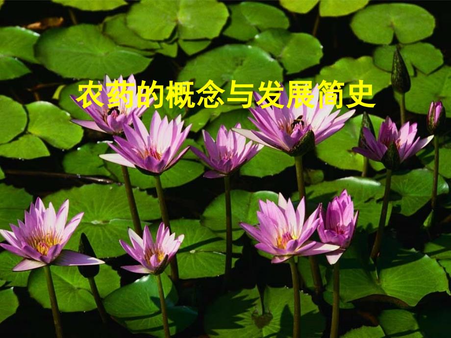 01 生物农药的开发及应用（讲义1） _第1页