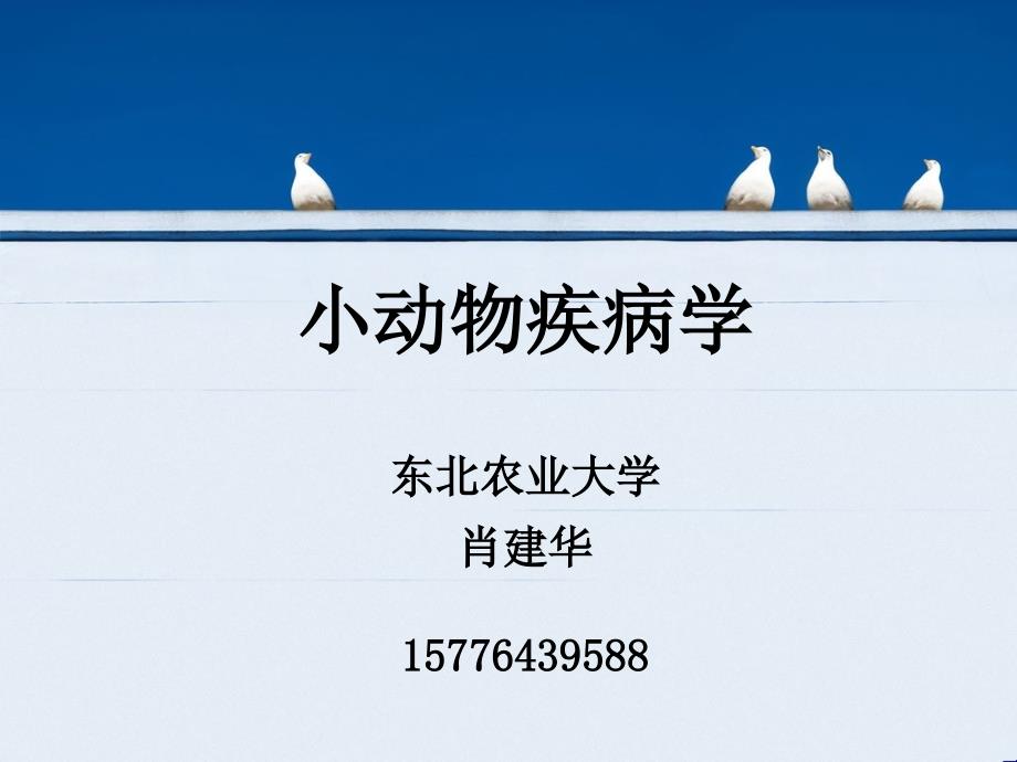 贾第鞭毛虫病_第1页