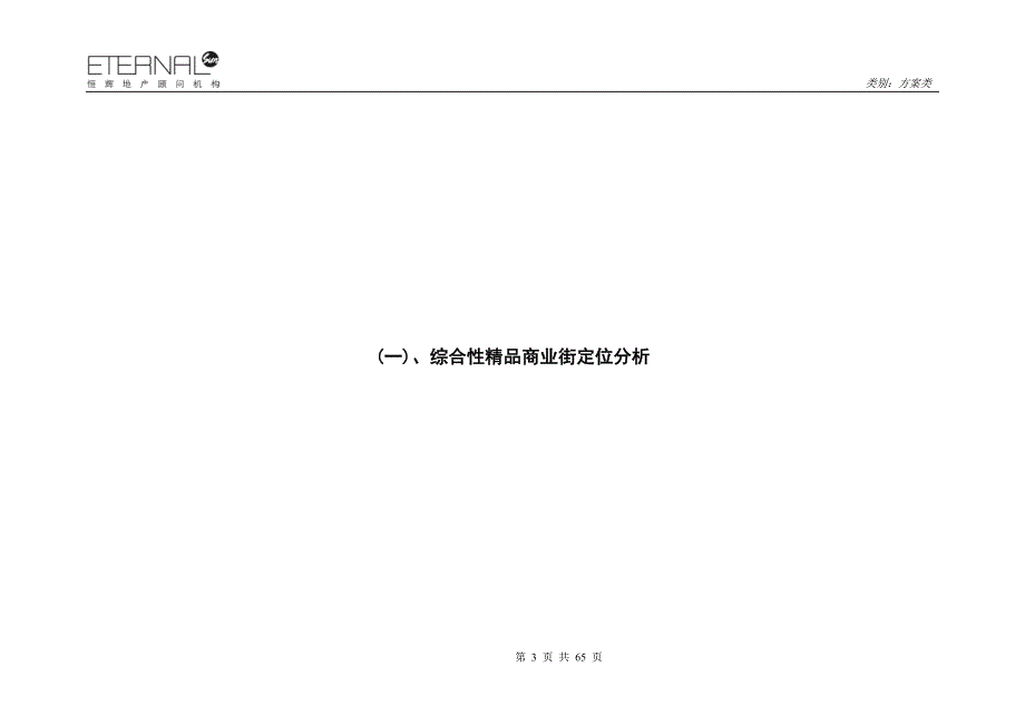 亚星国际商业街区论证7_第3页