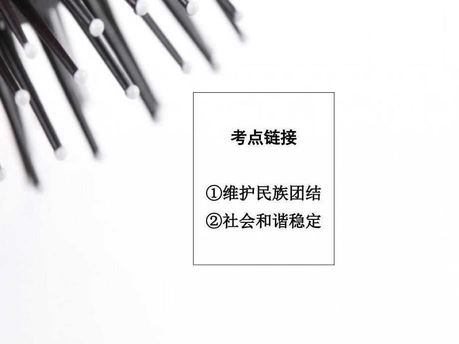 专题2维护民族团结促进祖国统一(含14年最新时事)1_第5页