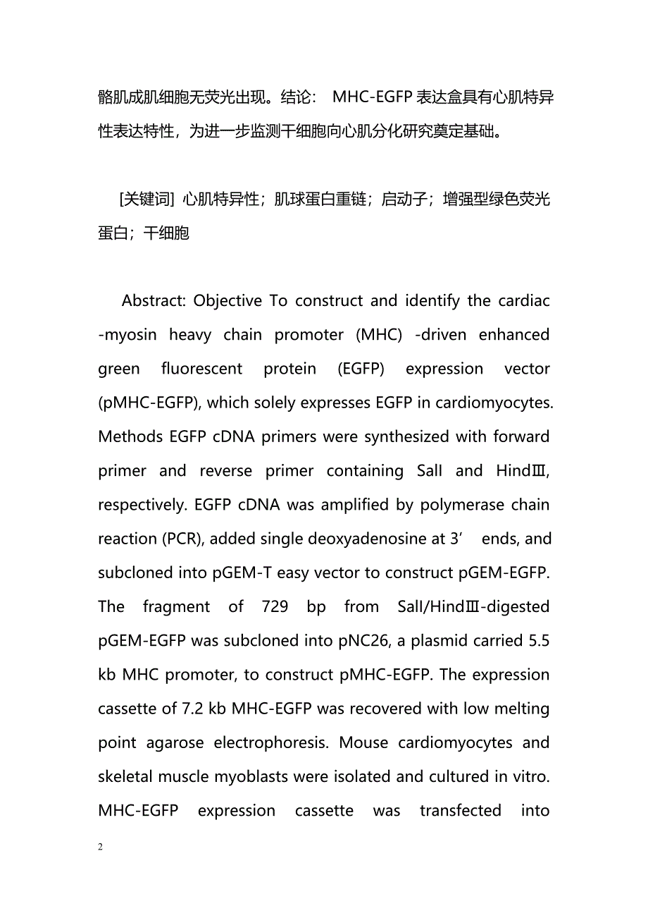 心肌α肌球蛋白重链启动子驱动的绿色荧光蛋白表达载体的构建及鉴定_第2页