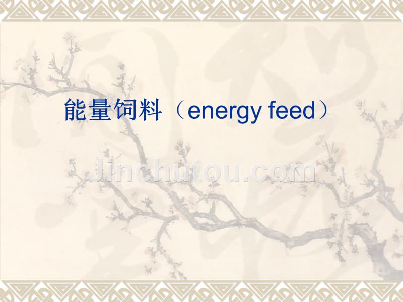 07能量饲料_第1页