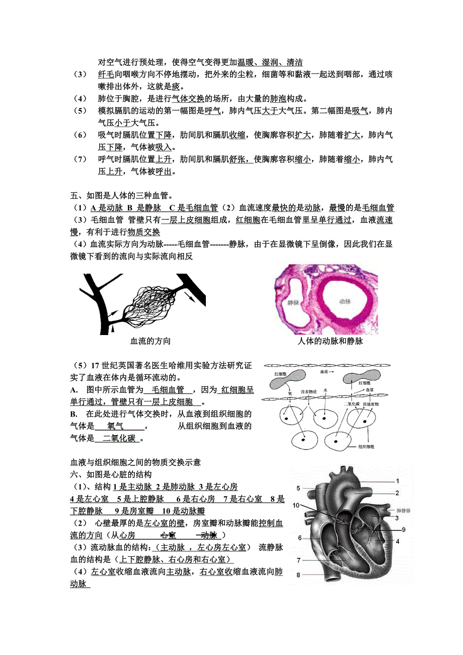 七年级下册生物图形_第3页