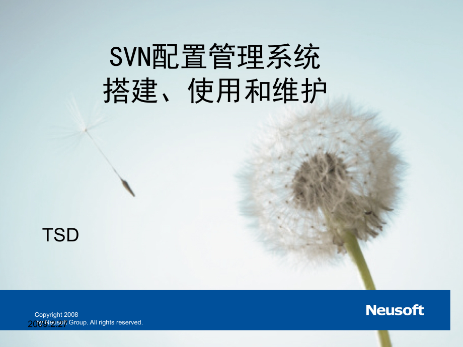 SVN配置管理系统的搭建、使用和维护_第1页