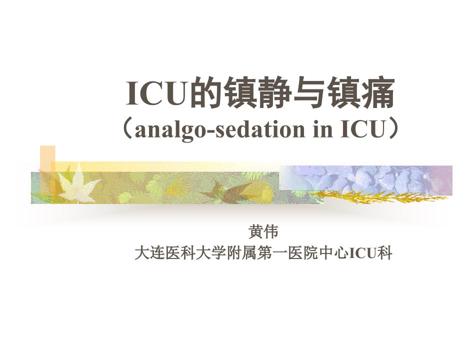 ICU的镇静与镇痛_第2页