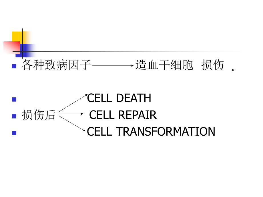 山东大学医学院的白血病幻灯片_第2页