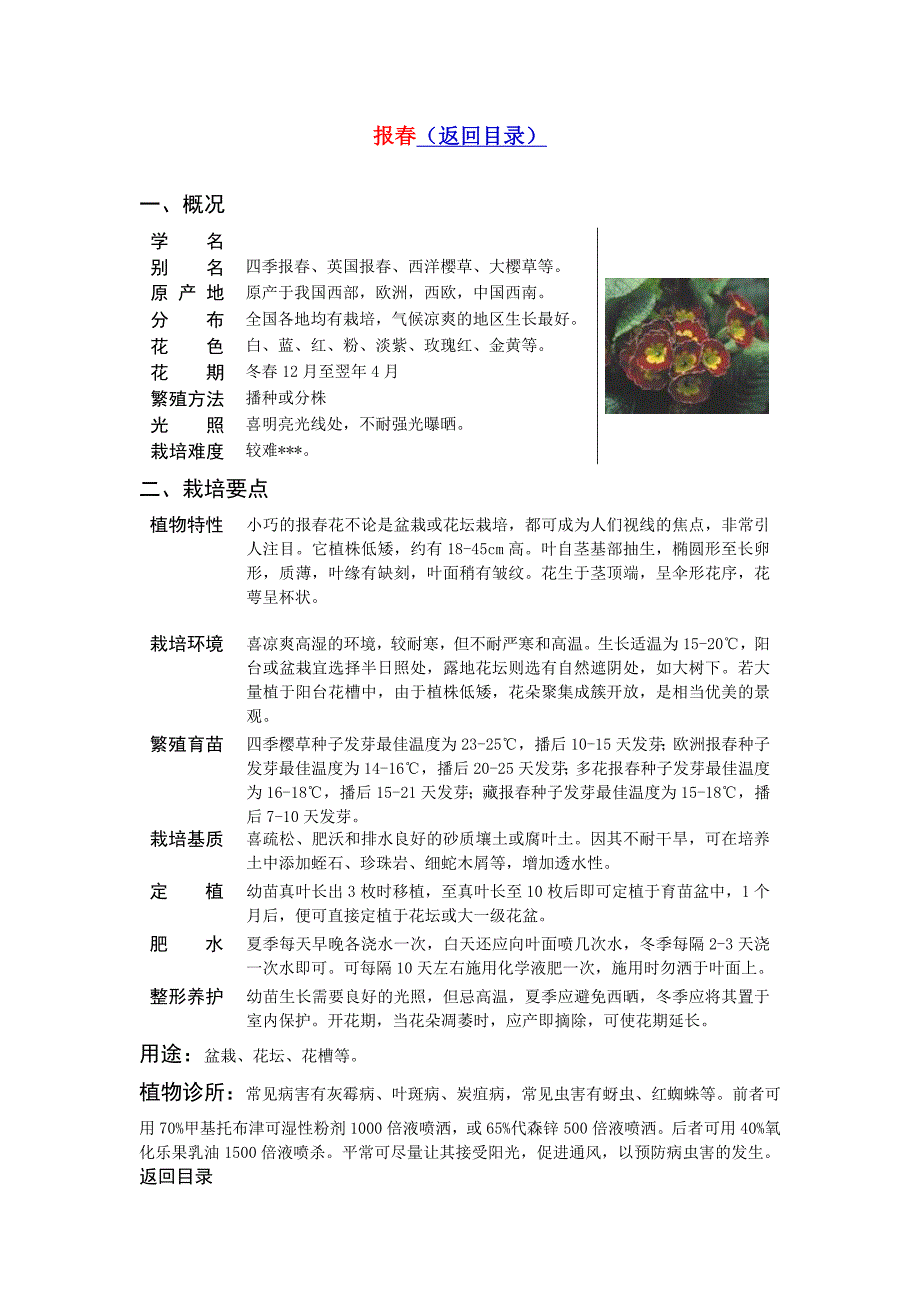 常见草花品种_第4页