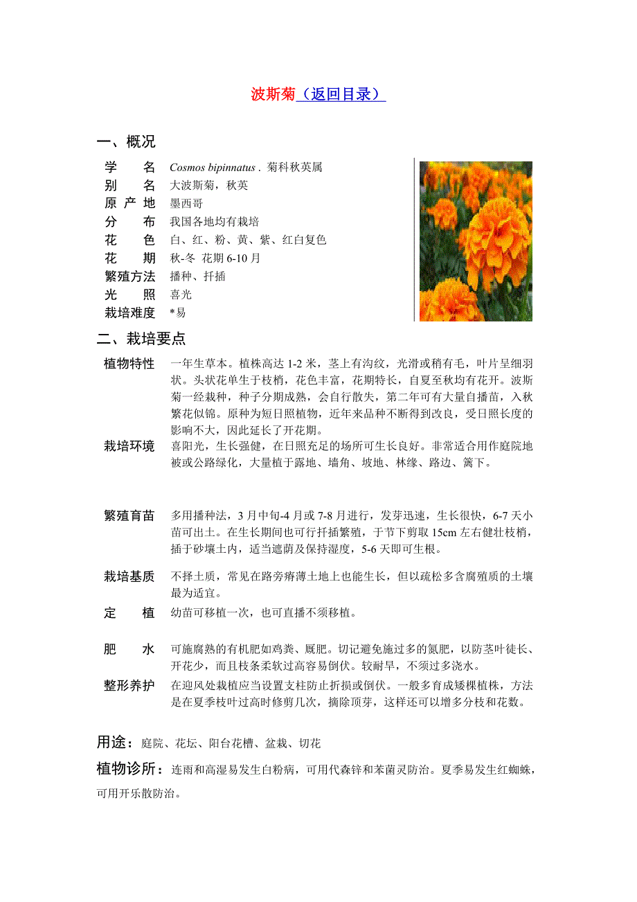 常见草花品种_第5页