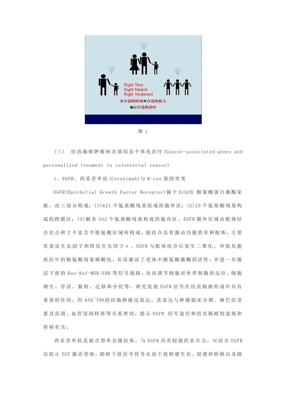 临床肿瘤基因组学指导下的结直肠癌个体化治疗_第5页