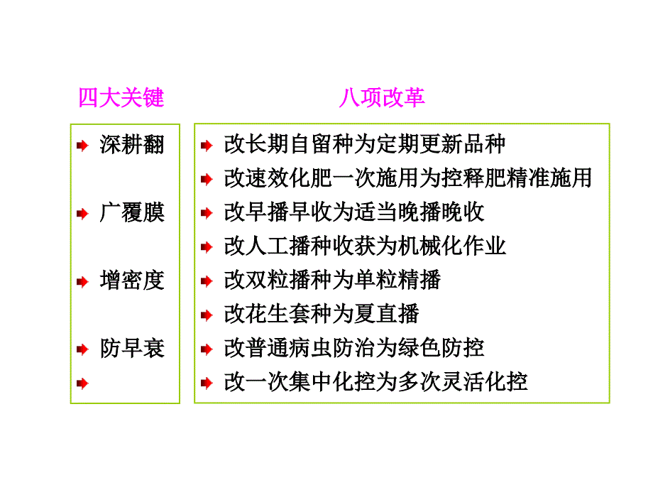 万勇善教授：花生高产关键技术_第3页