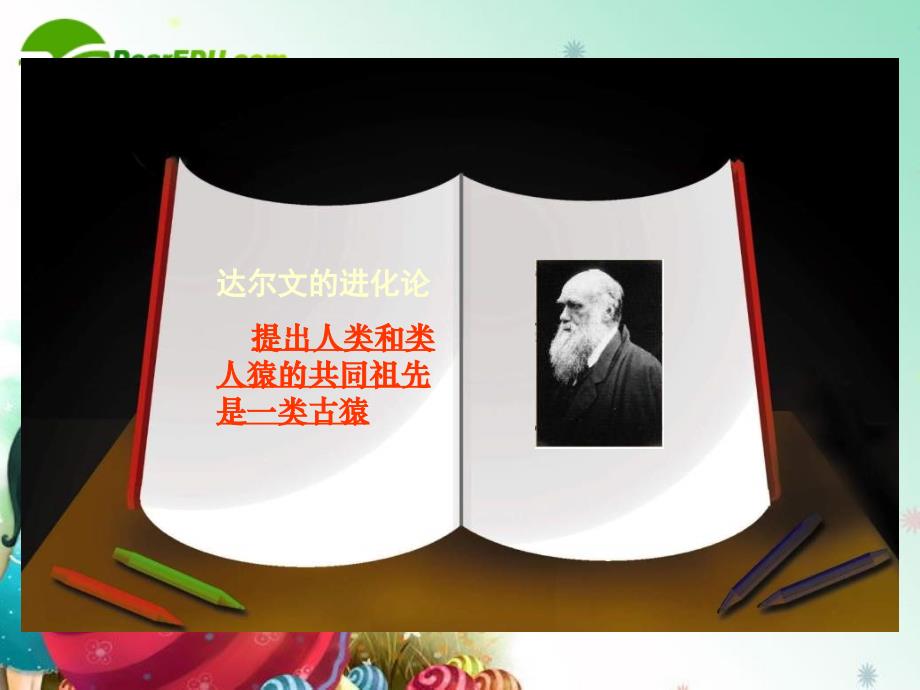 1、七年级生物下册_第四单元第一章第一节人类的起源和发展课件人教版_第3页